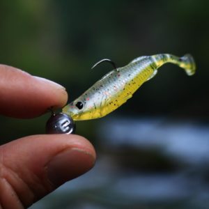 Soft plastics